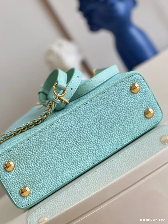 Aaa replica bags VUITTON BB LOUIS CAPUCINES 0807